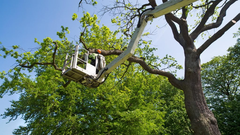 - Amanco Tree Services Omaha