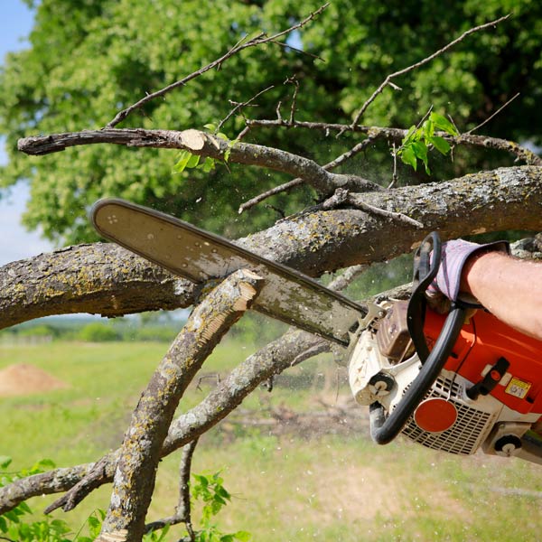 - Amanco Tree Services Omaha