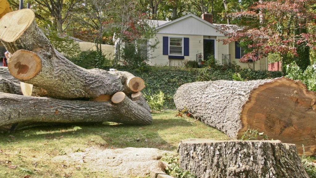 - Amanco Tree Services Omaha