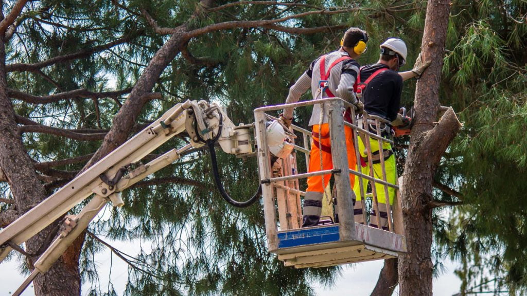 - Amanco Tree Services Omaha