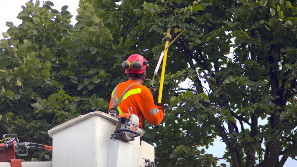 - Amanco Tree Services Omaha