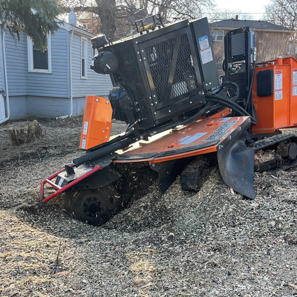 - Amanco Tree Services Omaha