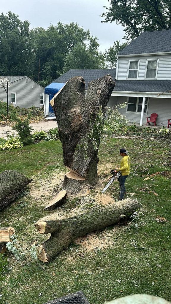 - Amanco Tree Services Omaha