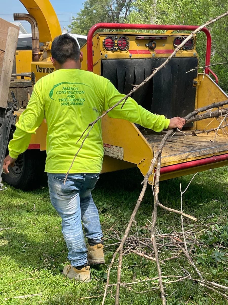 Tree Talk - Amanco Tree Services Omaha - Amanco Tree Services Omaha