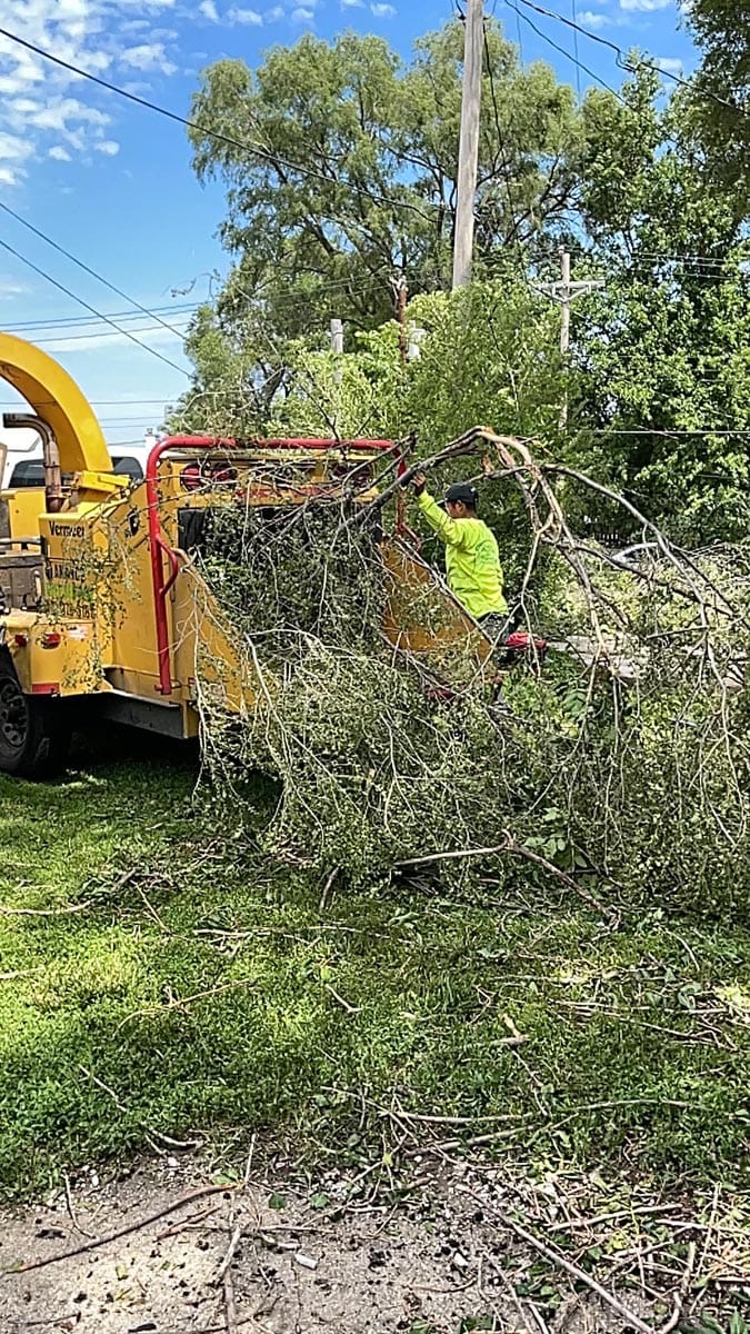 - Amanco Tree Services Omaha